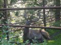 IMGP0793.JPG